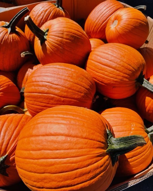 A close-up view of a pile of bright orange pumpkins with green stems, showcasing their smooth texture and round shape, perfect for autumn decorations and Halloween carving.