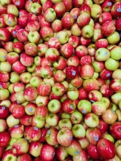 A vibrant assortment of red and green apples piled together, showcasing their fresh and crisp appearance, ideal for healthy snacking and cooking.
