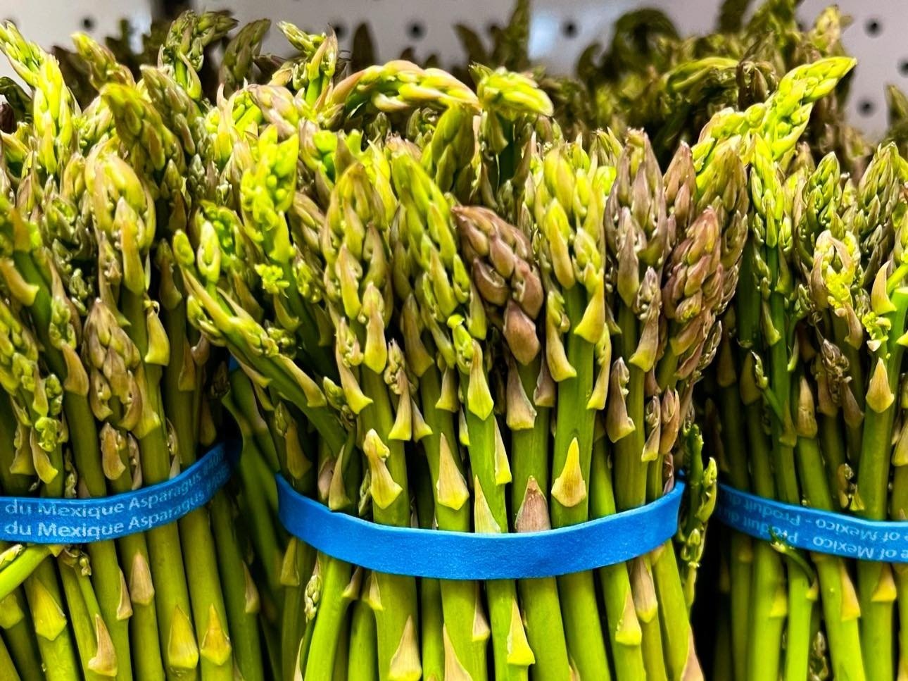 Fresh green asparagus bundles tied with blue bands, showcasing vibrant tips and stalks, ideal for healthy cooking and recipes.