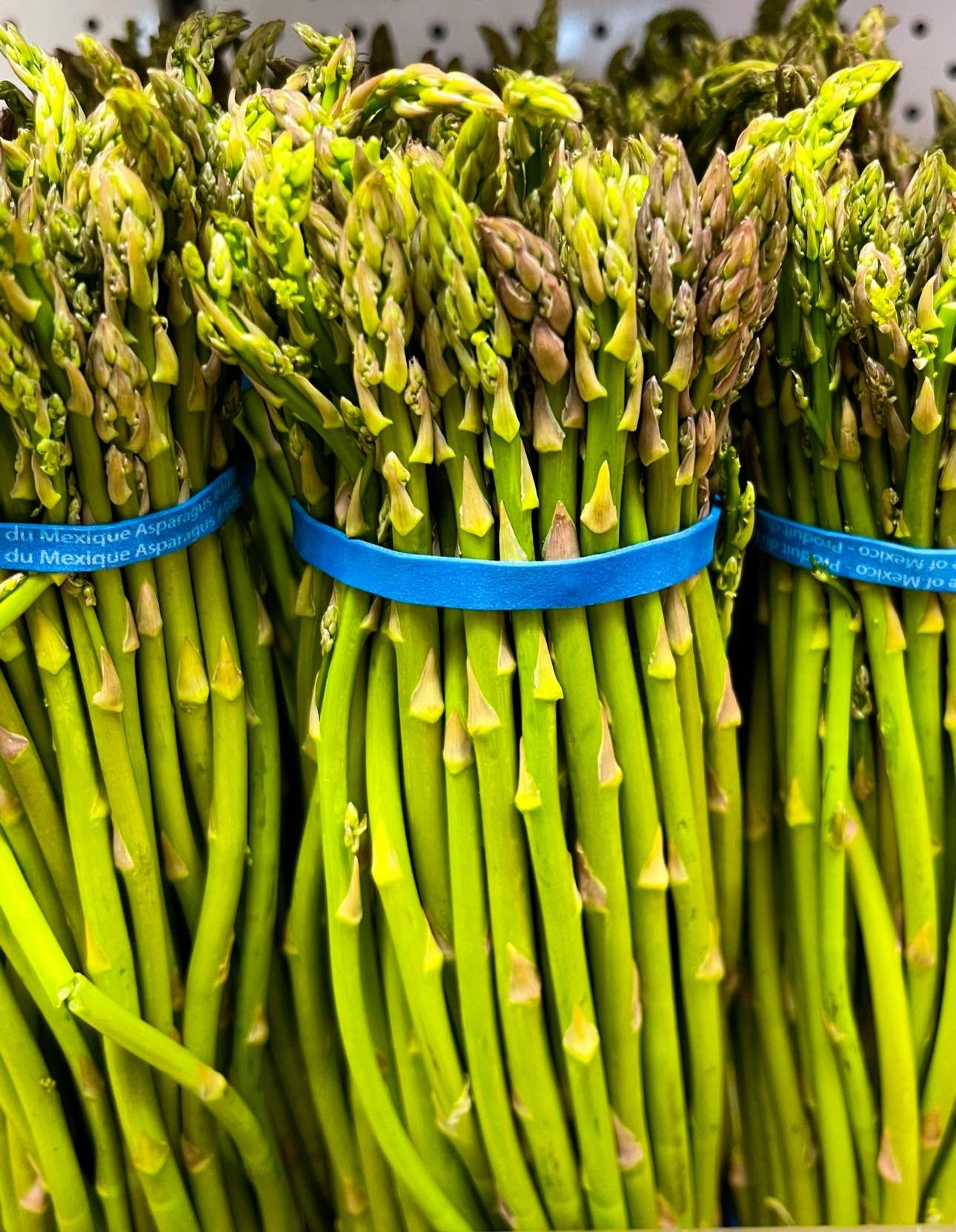 Fresh green asparagus bundles with blue bands, showcasing vibrant tips and stalks, arranged neatly in a grocery store display.