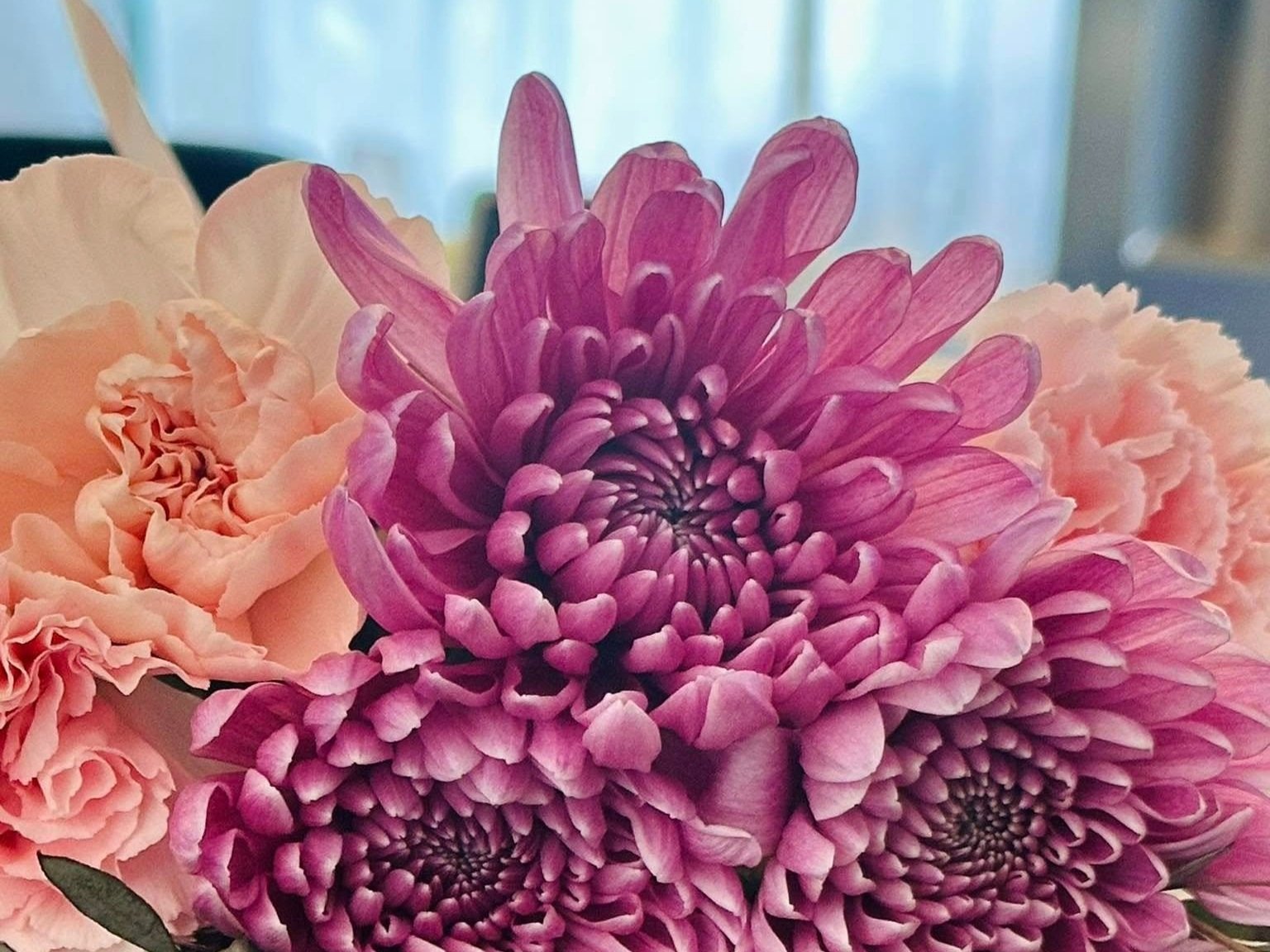 Close-up of a vibrant floral arrangement featuring pink chrysanthemums and soft peach carnations, set against a blurred background, highlighting the intricate details of the petals and the lush greenery. Perfect for floral decoration or gift ideas.