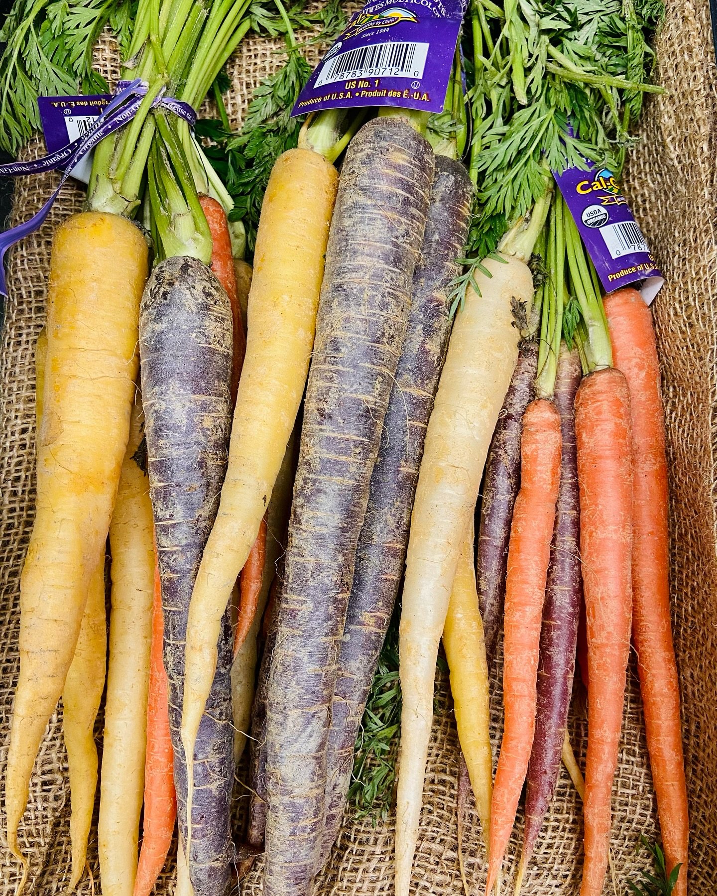 Colorful assortment of heirloom carrots including orange, purple, yellow, and white varieties, displayed on burlap fabric with green tops visible. Ideal for promoting healthy eating and vibrant recipes.