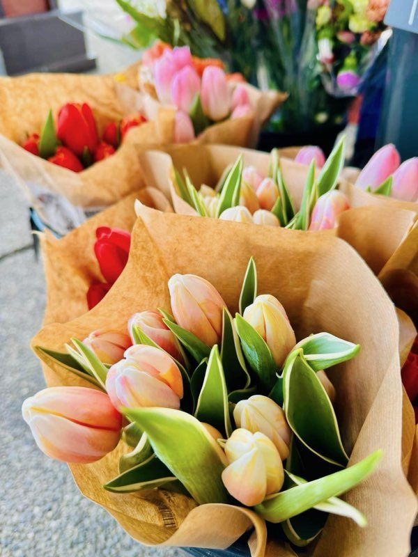 Patrick+Brown+-+IMG_4421 Colorful bouquets of tulips in various shades, including pink and red, wrapped in brown paper, displayed at a flower shop.