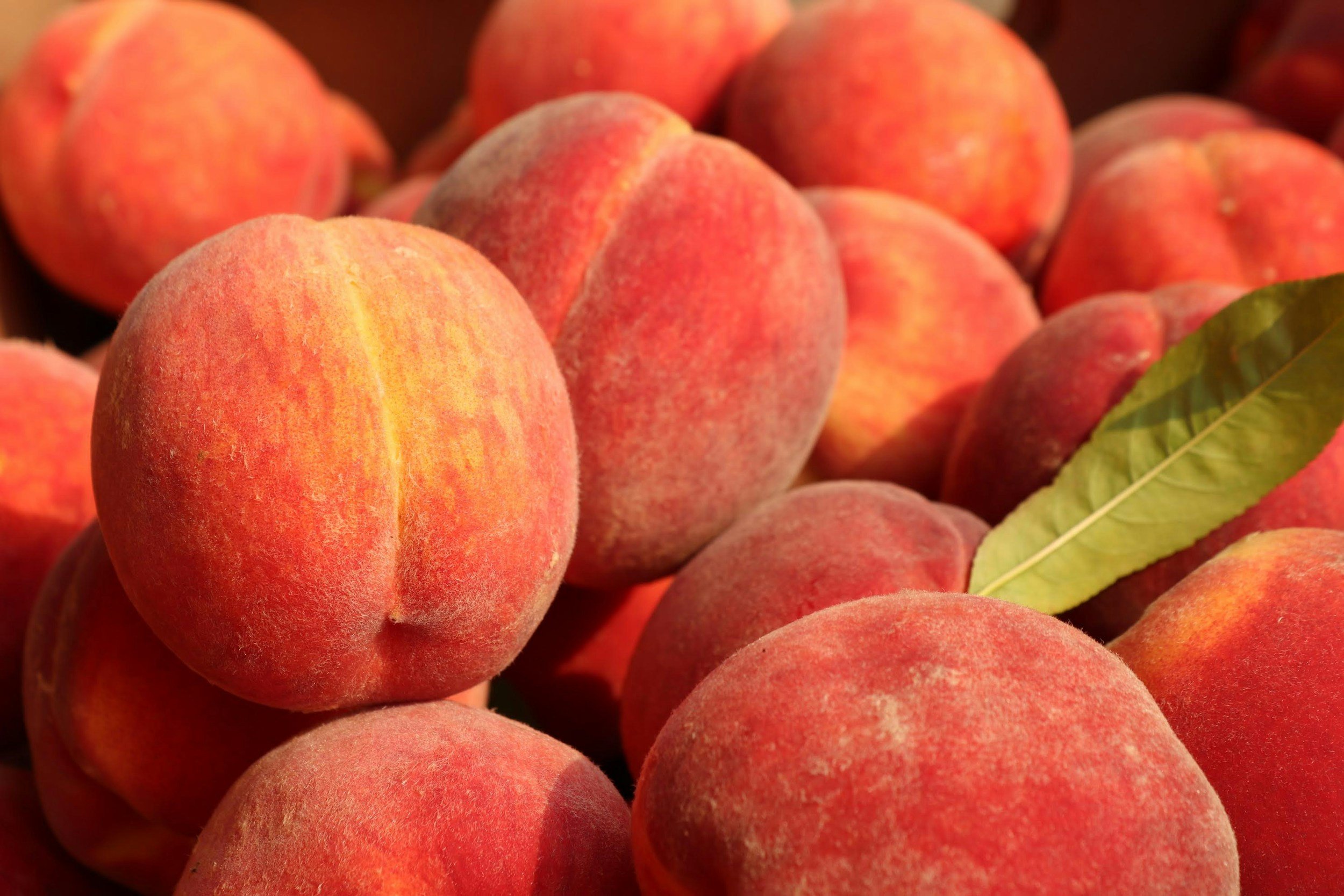 unsplash-image-H4QpChoce7I Fresh, ripe peaches with a vibrant reddish-orange hue and velvety skin, stacked together with a green leaf accent. Ideal for summer recipes and healthy snacks.